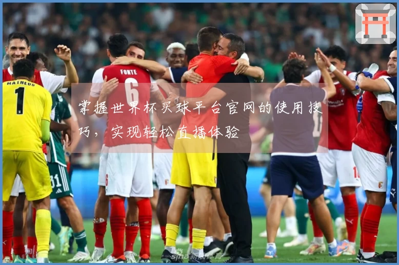 掌握世界杯买球平台官网的使用技巧，实现轻松直播体验