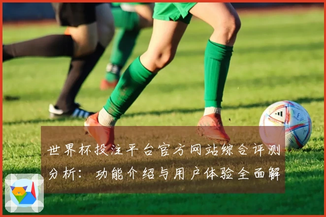 世界杯投注平台官方网站综合评测分析：功能介绍与用户体验全面解析